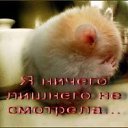 ���� K@pel^�@__���__������, ������ - ��������� 28 ���� 2010