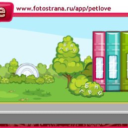 ���� ����, ������������, 23 ���� - ��������� 6 ������� 2010