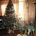 ���� �����, ������, 36 ��� - ��������� 2 ������ 2010 � ������ �������