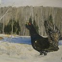 ���� ������, ���������, 47 ��� - ��������� 22 ���� 2012 � ������ �������