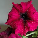 ���� ���������, �����������-��-�����, 59 ��� - ��������� 23 ������� 2012 � ������ ���� ����������