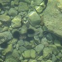 ���� Toryst, �����-���������, 53 ���� - ��������� 9 ����� 2010 � ������ ������������� ������� (��������� ������� ��������)�