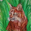 ���� �����, �������, 45 ��� - ��������� 15 ������ 2011 � ������ ���� ����