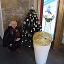 ���� ����, �������, 55 ��� - ��������� 26 ������� 2012 � ������ ���� ����������