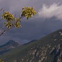 ���� ������, ������, 45 ��� - ��������� 3 ����� 2009 � ������ �������