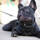 ������� ������ ��������! 
������� ������ � ������! 
� ������, � ��������, 
� ������ ��������� ��������... �� ������� ���� ����������