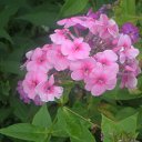 ���� �����, ����������, 49 ��� - ��������� 11 ����� 2011 � ������ ������� ���������