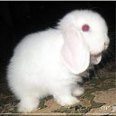 ���� ������, ��������, 63 ���� - ��������� 26 ������� 2011 � ������ ���� ����������