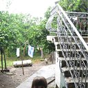 ���� Ladapavlova, �����-���������, 50 ��� - ��������� 18 �������� 2010 � ������ ���� ����������