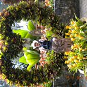 ���� �����, ���� - ��������� 21 ������ 2011 � ������ �� ��������