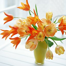 ���� �������, ������ - ��������� 7 ��� 2013