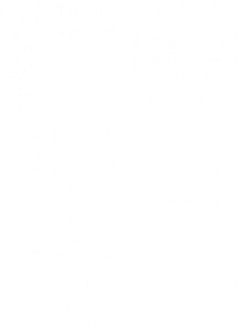 ���� Milisav, ������, 56 ��� - ��������� 12 ���� 2012