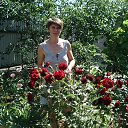 ���� �����, ���������, 46 ��� - ��������� 22 ���� 2013 � ������ ���� ����������