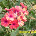 ���� ������, ��������, 70 ��� - ��������� 9 ������ 2012 � ������ ����λ