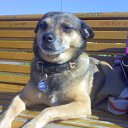  Zanna, , 53  -  16  2012    