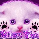 ���� ������ �����, ������, 24 ���� - ��������� 9 ���� 2011 � ������ ������