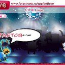  Elena, , 45  -  15  2011   PetLove