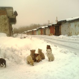 ���� C���, ������������, 56 ��� - ��������� 7 ������� 2013