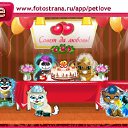  , , 45  -  10  2010   PetLove