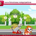 ���� ����, �����������, 23 ���� - ��������� 12 ������ 2010 � ������ �PetLove�