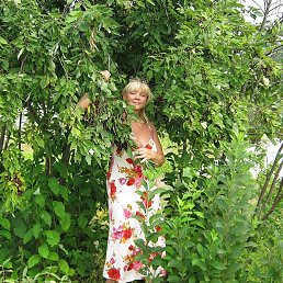 ���� �����, ������, 28 ��� - ��������� 24 �������� 2012