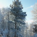 ���� �����, �����-���������, 67 ��� - ��������� 23 ������ 2013 � ������ ����� 2013 ����