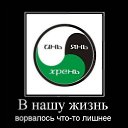 ���� ���������, �����-���������, 83 ���� - ��������� 1 ���� 2011 � ������ ������������� � �����������