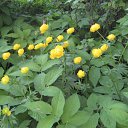  ir@ge))) ))), , 47  -  30  2009   