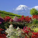 ���� Svetlana, ������, 59 ��� - ��������� 31 ����� 2011 � ������ ���� �������� �������