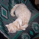 ���� �����, �������, 59 ��� - ��������� 2 ���� 2013 � ������ ����� ��� ������������