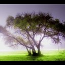 ���� �������., ����, 67 ��� - ��������� 31 ��� 2010 � ������ ���������� ������
