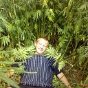 ���� �����, ������, 34 ���� - ��������� 28 ���� 2013 � ������ ���� ����������