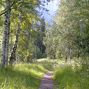 ��������� ���� �� ������� ���� ����������