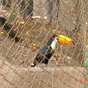 ���� ����. ��������� �� ��!, ������, 72 ���� - ��������� 11 �������� 2011 � ������ ���������