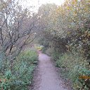 ���� ����, ������, 56 ��� - ��������� 26 �������� 2012 � ������ �������