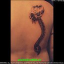 ���� ������, ��������, 36 ��� - ��������� 2 ������� 2010 � ������ �����))))�