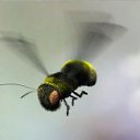 ���� 777, �������, 48 ��� - ��������� 19 ������ 2012 � ������ �������