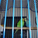 ���� ������, ���������, 54 ���� - ��������� 24 ������ 2010 � ������ �������
