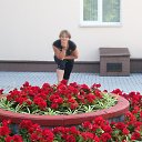 ���� �����, ������, 47 ��� - ��������� 21 ���� 2013 � ������ ���� ����������