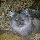 otdam v xoronie ruki �� ������� �foto�