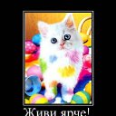 ���� �����, ������, 25 ��� - ��������� 31 ������ 2013 � ������ ���� ����������