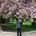 ���� Lena, ���������, 48 ��� - ��������� 7 ��� 2011 � ������ ���� ����������