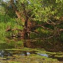 ���� ������, �������� - ��������� 16 ������� 2012 � ������ �������