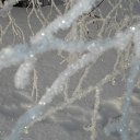 ���� �����, ��������, 40 ��� - ��������� 30 ������ 2011 � ������ �������