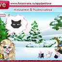  , , 33  -  19  2010   PetLove