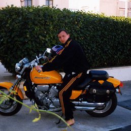 ����, ������, 84 ����