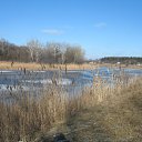 ���� Nikola, �����, 43 ���� - ��������� 26 ������ 2010 � ������ �PetLove�