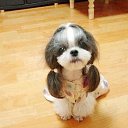 ���� ���- ������, �������������, 61 ��� - ��������� 29 ������ 2013 � ������ ���� ����������