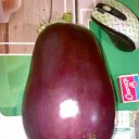 ���� ������, ������� �������� - ��������� 13 ������� 2012 � ������ ���� ����������