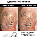 ���� �������, ������, 41 ��� - ��������� 12 ������ 2013 � ������ ���� ����������